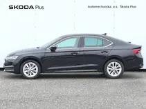 Octavia Top Selection