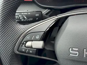 Škoda Fabia Monte Carlo