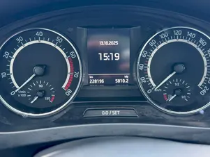 Škoda Rapid Monte Carlo