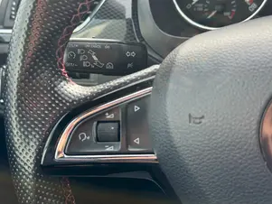 Škoda Rapid Monte Carlo