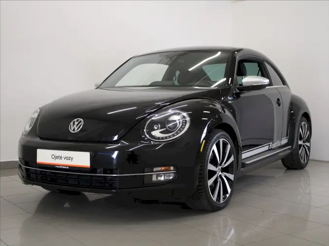 Beetle 