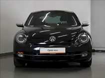 Beetle 