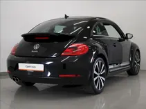 Beetle 