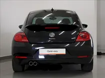 Beetle 