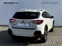 XV