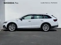 Octavia 