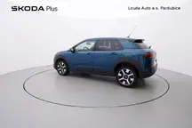 C4 Cactus