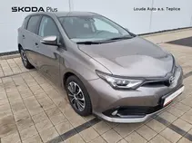 Auris