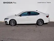 Octavia 