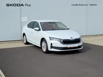 Octavia 