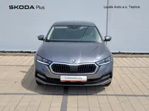 Octavia 