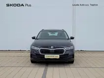 Octavia 