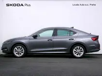 Octavia 