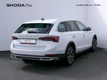 Octavia 