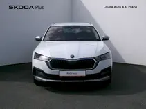 Octavia 