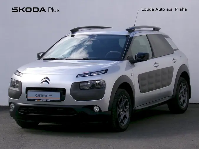 C4 Cactus
