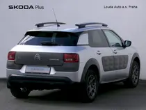C4 Cactus