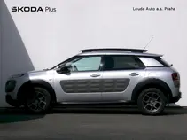 C4 Cactus