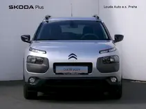 C4 Cactus