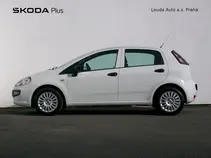 Punto 
