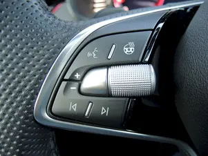 Škoda Kamiq Monte Carlo