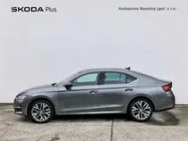 Octavia 
