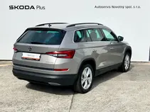 Kodiaq Ambition