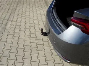 Škoda Octavia Exclusive Selection