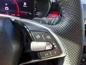 Škoda Fabia Monte Carlo