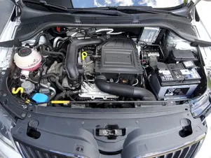 Škoda Rapid Monte Carlo