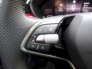 Škoda Fabia Monte Carlo
