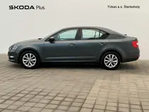 Octavia Ambition Fresh