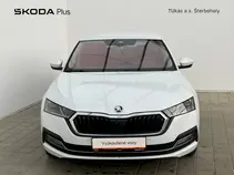 Octavia Style Plus