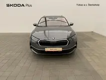 Octavia 