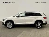 Kodiaq Style