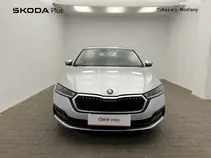 Octavia 