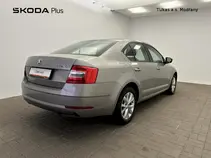 Octavia 