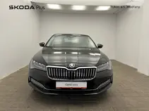 Superb Style Plus