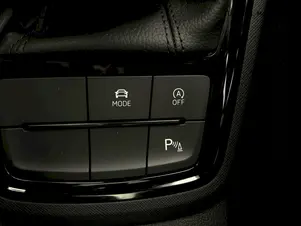 Škoda Kamiq Monte Carlo