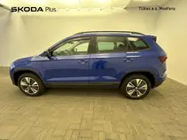 Karoq Style