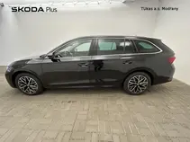 Octavia 