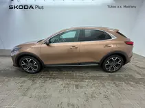 XCeed