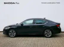 Octavia Exclusive Selection