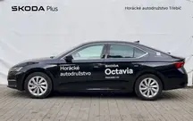 Octavia First Edition