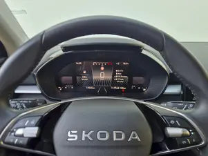 Škoda Fabia Top Selection