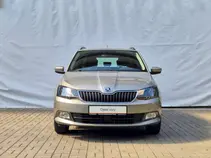 Fabia Style
