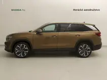 Kodiaq Exclusive Selection