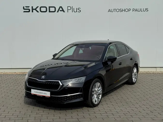 Octavia Exclusive Selection