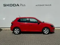 Fabia Style