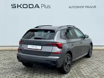 Kamiq Monte Carlo